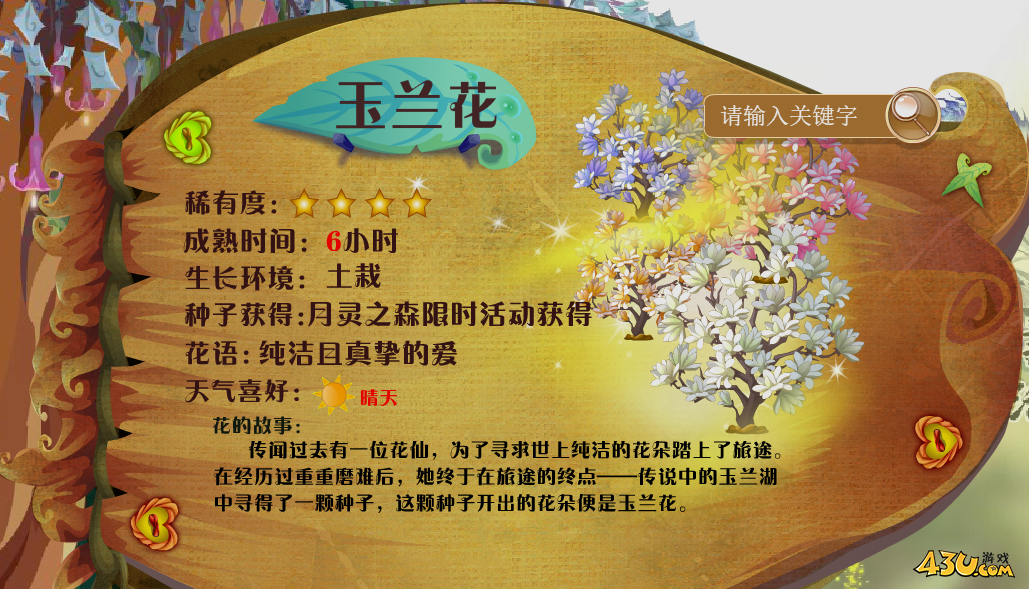 小花仙花种全图鉴 玉兰花图文介绍