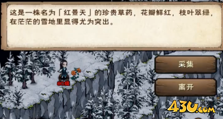 烟雨江湖红景天多久刷新一次 红景天采集刷新攻略 烟雨江湖红景天多久刷新一次 红景天采集刷新攻略