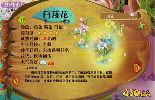 小花仙花种全图鉴 白芨花图文介绍