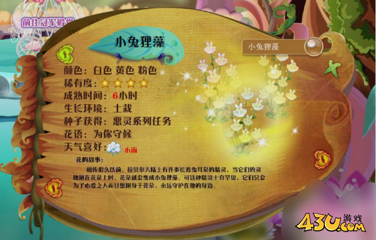小花仙花种全图鉴 小兔狸藻图文介绍