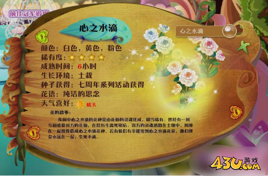 小花仙花种全图鉴 心之水滴图文介绍