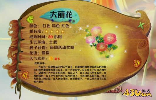 小花仙花种全图鉴 大丽花图文介绍