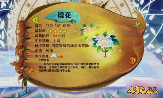 小花仙花种全图鉴 琼花图文介绍